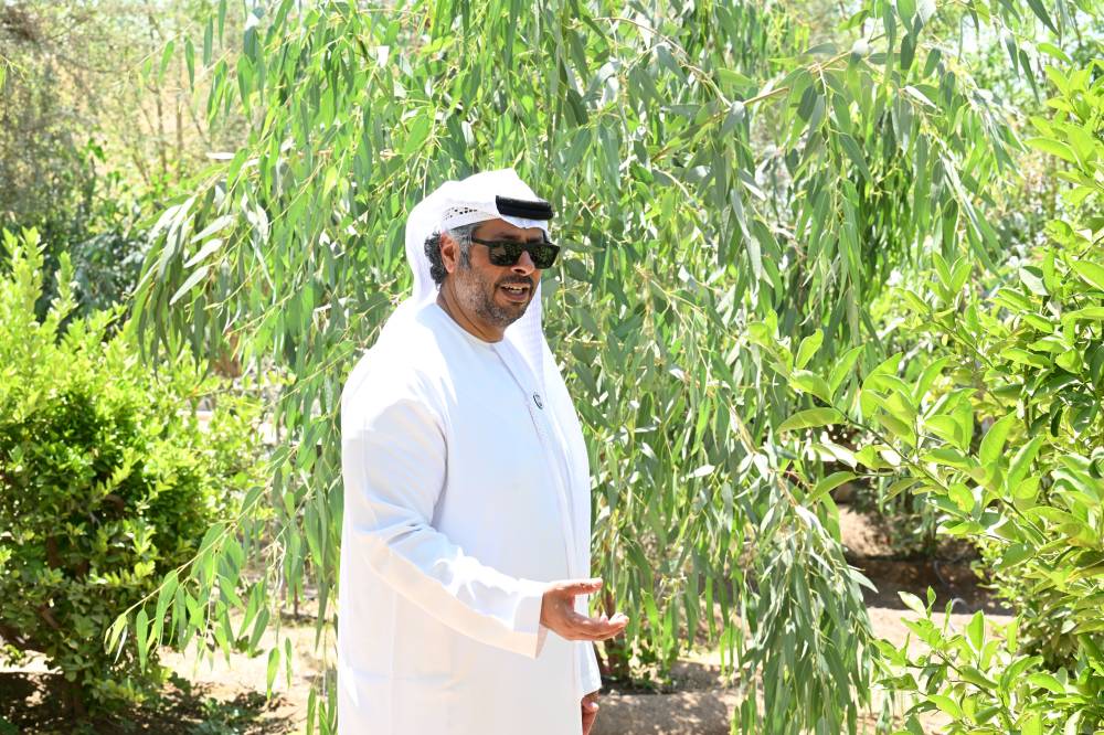 مزارع العين.. رمز العطاء والاستدامة في الإمارات
