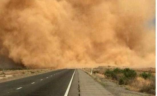 نصائح عاجلة من الأطباء: لا تتجاهل أعراض الحساسية خلال العواصف الترابية