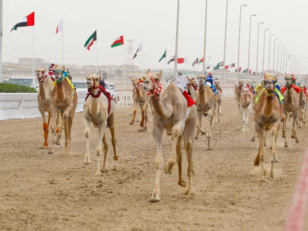 من منافسات سابقة