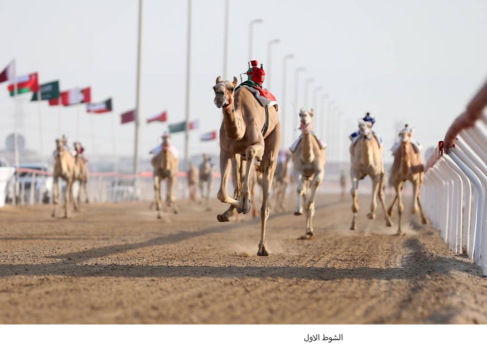 جانب من المنافسات (تصوير: محمد السماني)