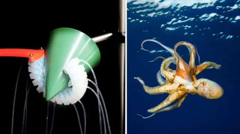 روبوت مستوحى من الجهاز العصبي للأخطبوط