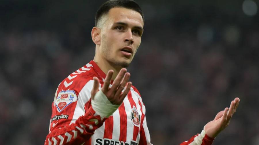 إينزو لو فيي