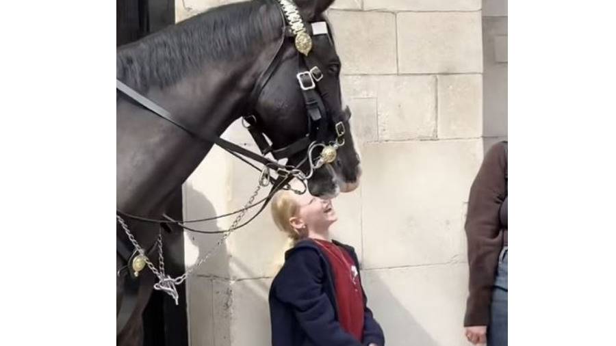 حصان الحرس الملكي يكافئ طفلة سعيدة بقبلة على الجبين (فيديو )