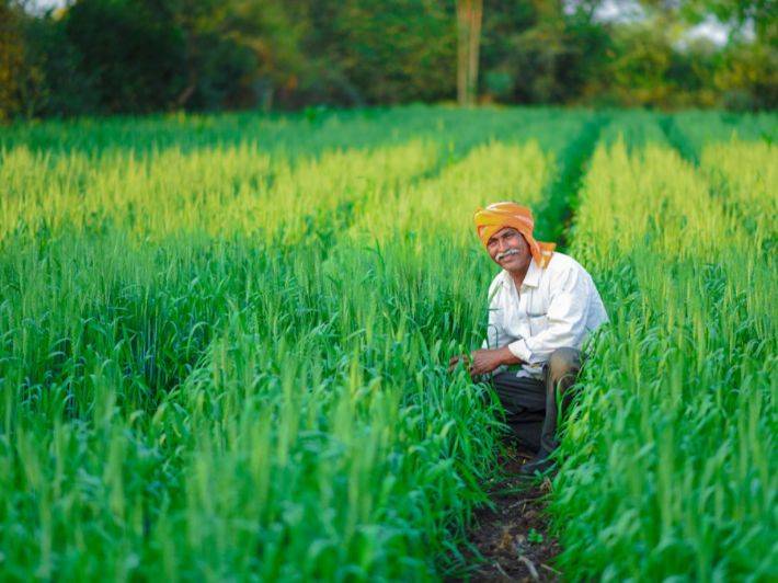 أراضٍ قاحلة وديون قاتلة.. انتحار 3 مزارعين في الهند يومياً