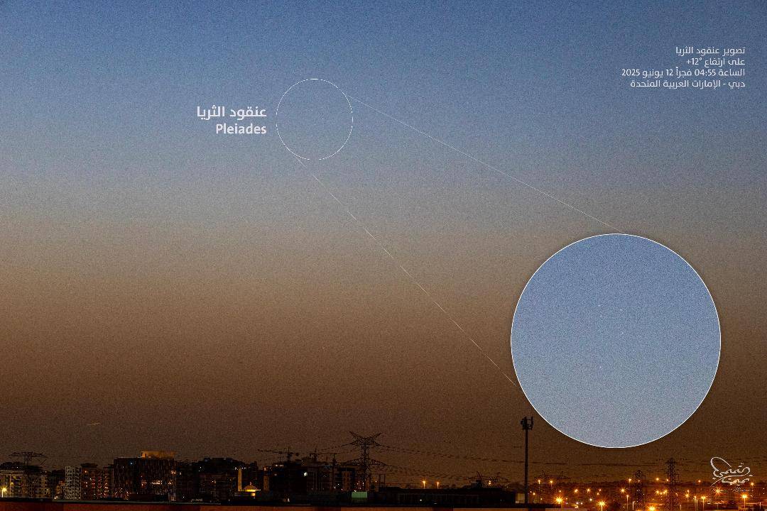 نجوم الثريا في سماء الدولة
