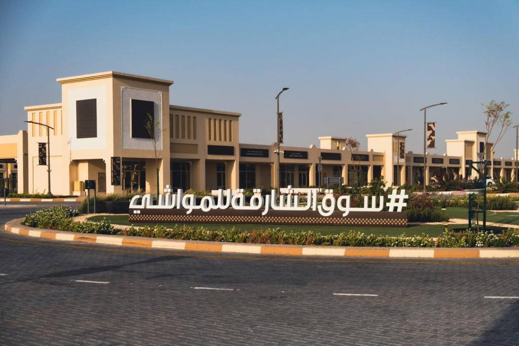 سوق الشارقة للمواشي