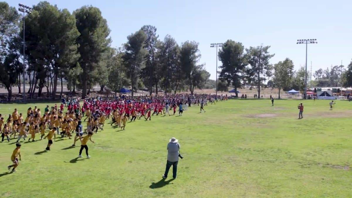 أثناء المشاركة