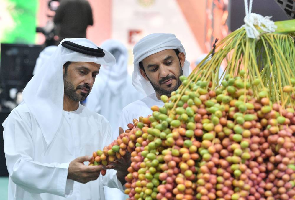 مهرجان ليوا للرطب