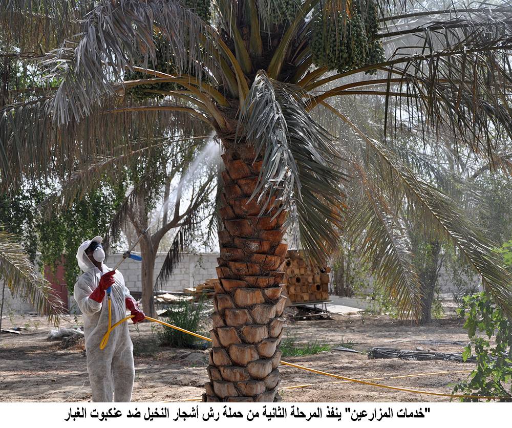 خدمات المزارعين\