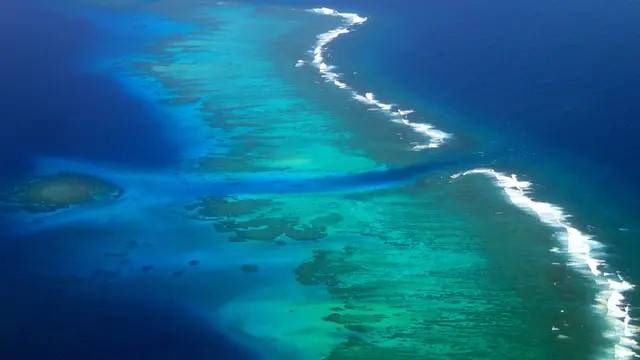 الأنهار الجزرية تعزز صحة الشعاب المرجانية