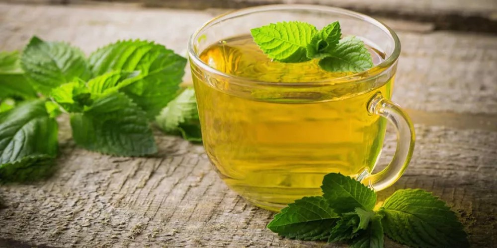 تعرف إلى النبات العطري ذي الرائحة الزكيّة والطعم المنعش؟