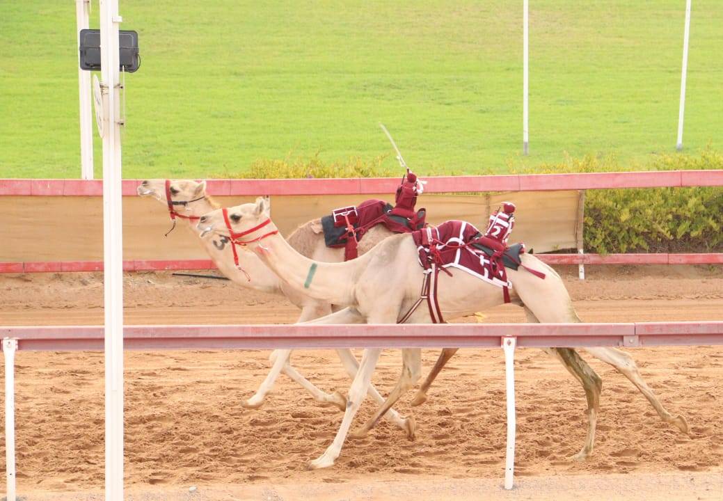 جانب من المنافسات