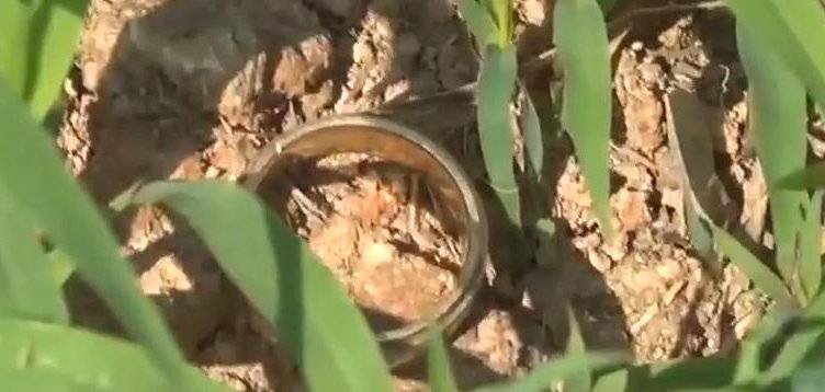 أمريكي يعثر على خاتم زواجه بعد 15 عاماً من فقدانه