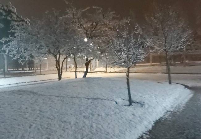 15 قتيلاً إثر موجة صقيع في الأرجنتين وتشيلي وأوروغواي