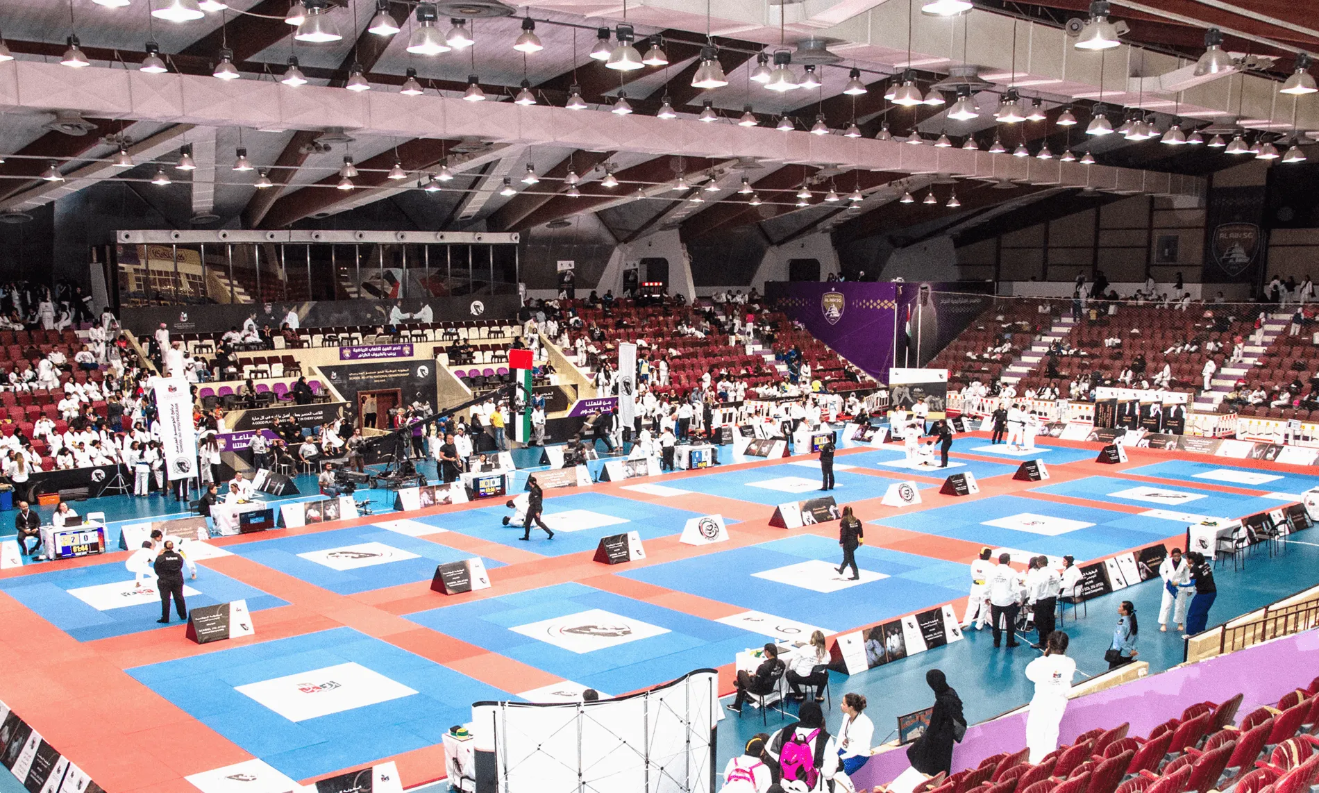 «بالمز» تعزز حضورها في مصر والبرازيل وآسيا الوسطى