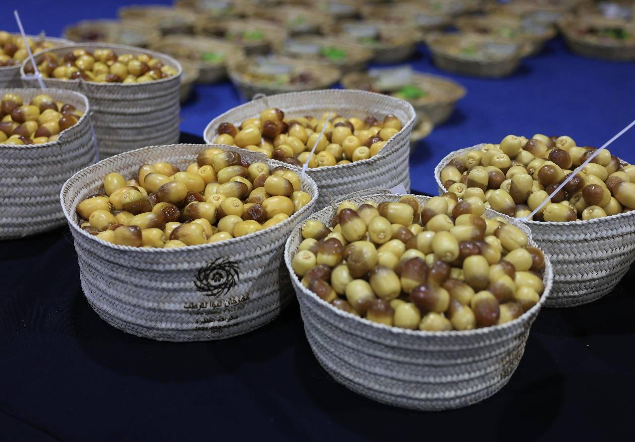 منافسات قوية في «مزاينة الزاملي» ضمن «ليوا للرطب»