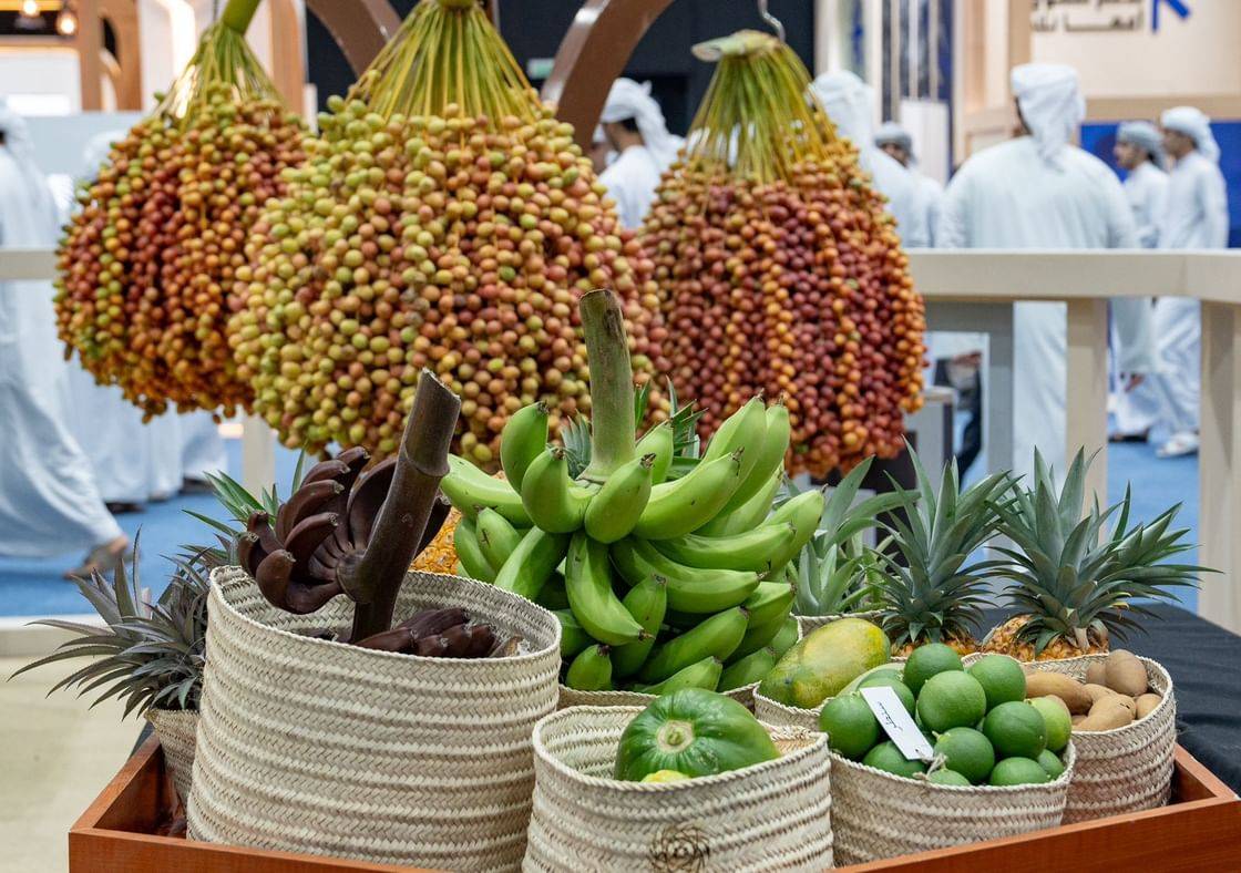 مهرجان ليوا للرطب يستقطب 144.6 ألف زائر