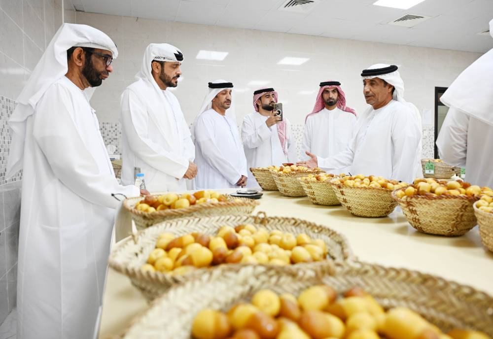1- During Al Dhaid Date Festival