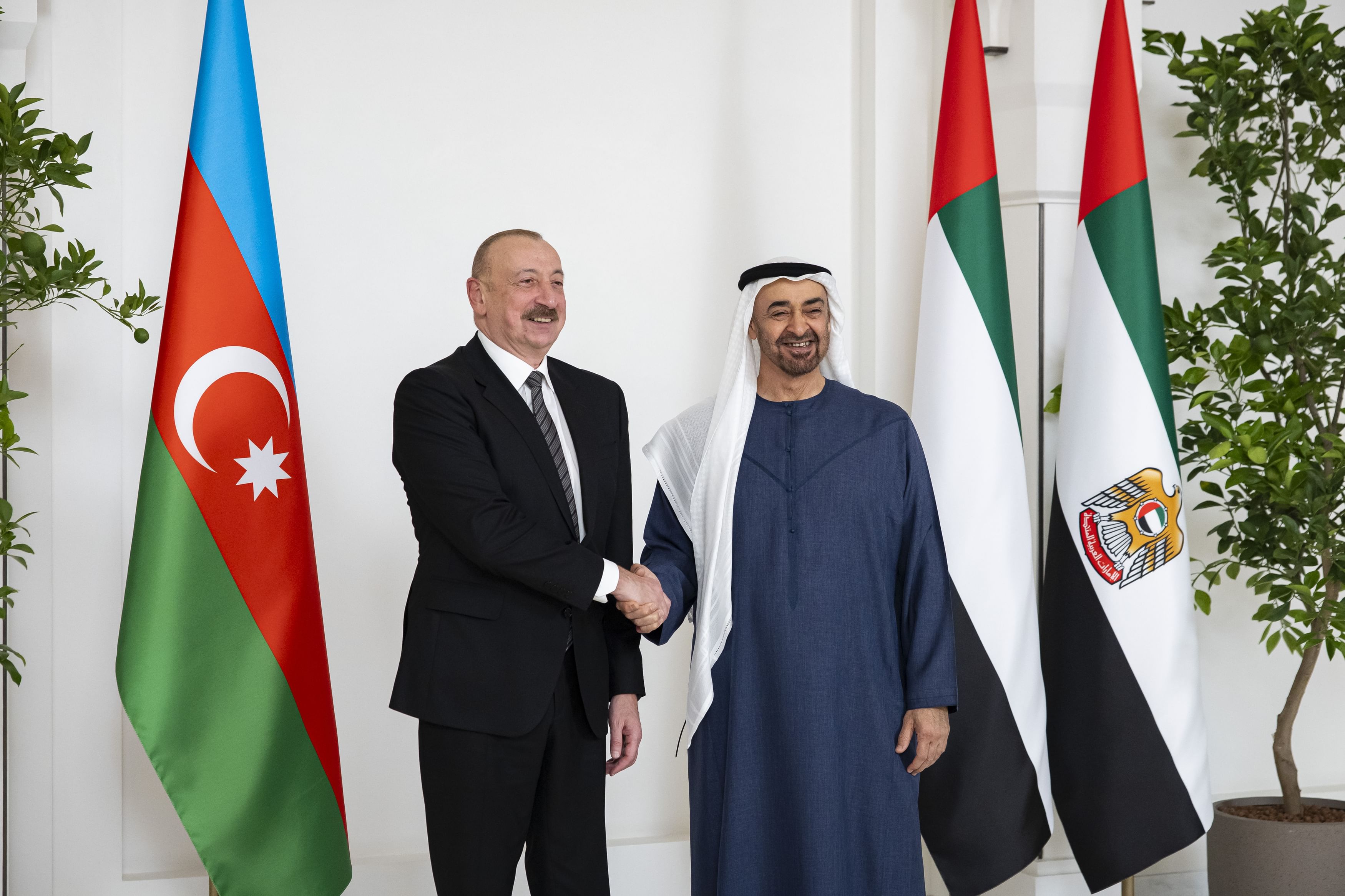 محمد بن زايد وإلهام علييف