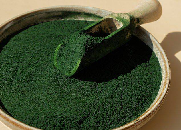 دراسة: كيف تحميك الطحالب من السكتة الدماغية والنوبة القلبية؟