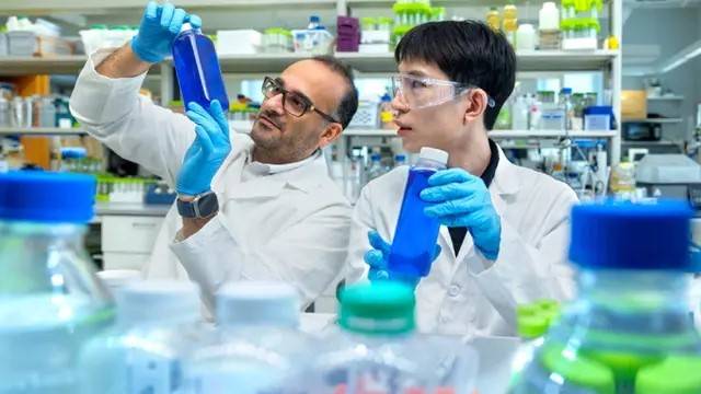 الباحثان يستعرضان الصبغة الجديدة 