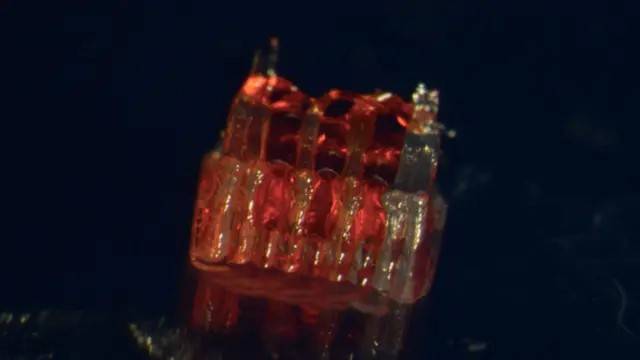 الدعامة ثلاثية الأبعاد المبتكرة