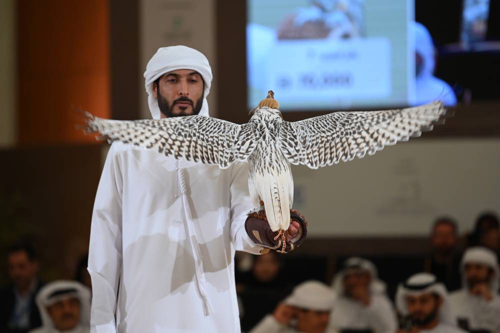 مزاد الصقور يجمع مليوناً و668 ألف درهم