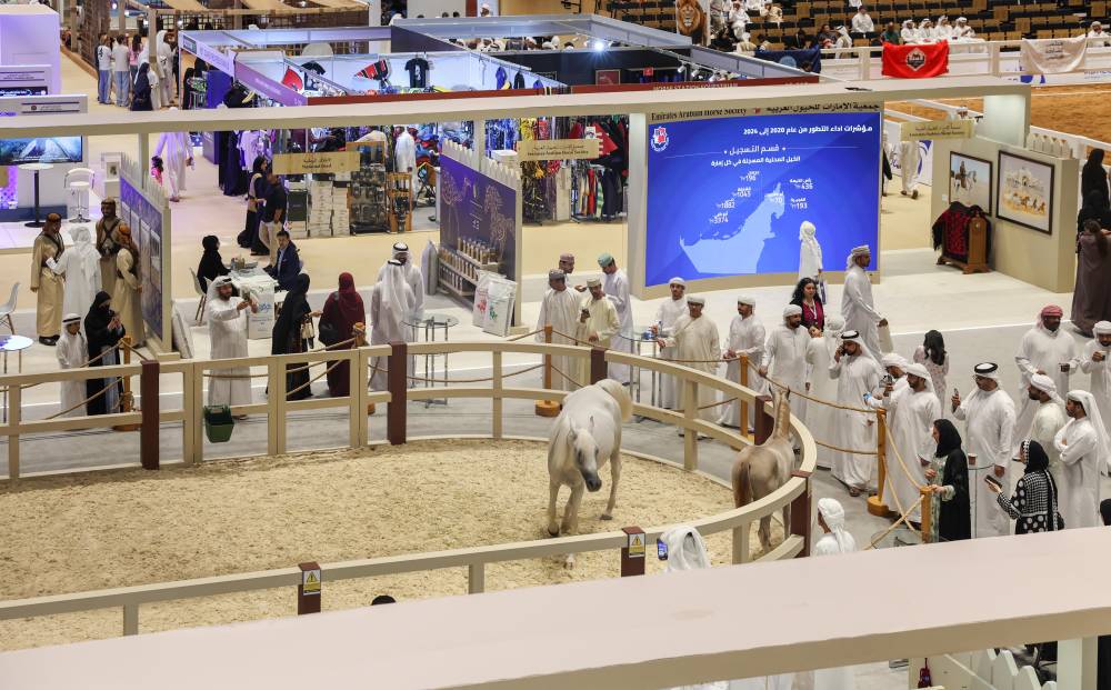 جناح جمعية الامارات للخيول العربية (تصوير: محمد السماني)