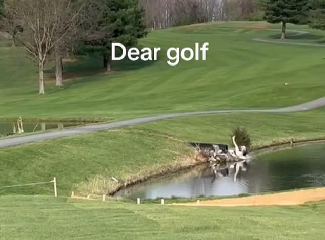 سقوط حر في البركة