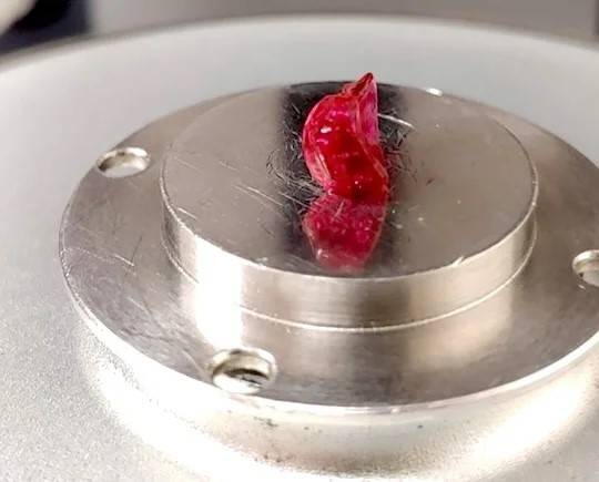 هيدروجيل يقلل الجرعات ويحسن فاعلية الدواء