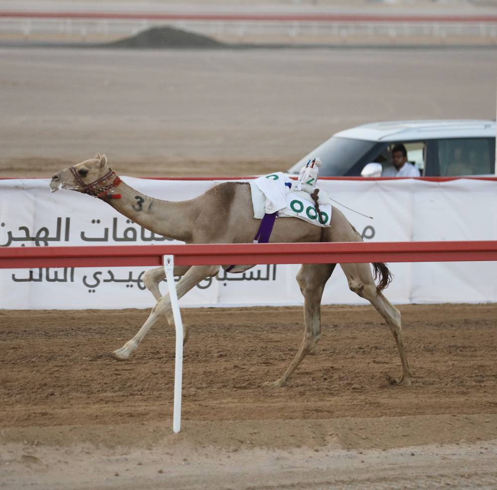من منافسات السباق