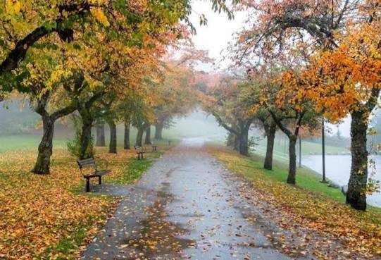 22 سبتمبر بداية الخريف في الإمارات.. الحرارة تنخفض ويتساوى الليل مع النهار