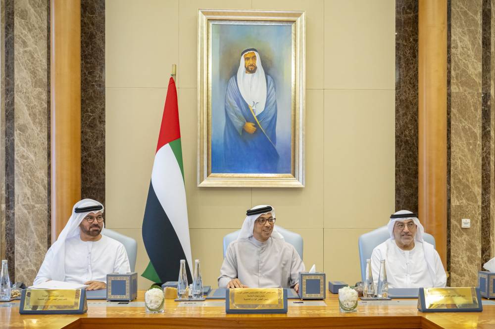 منصور بن زايد