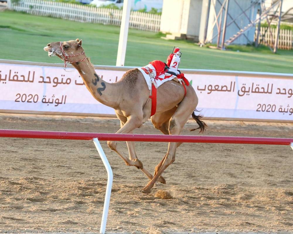 من منافسات سابقة