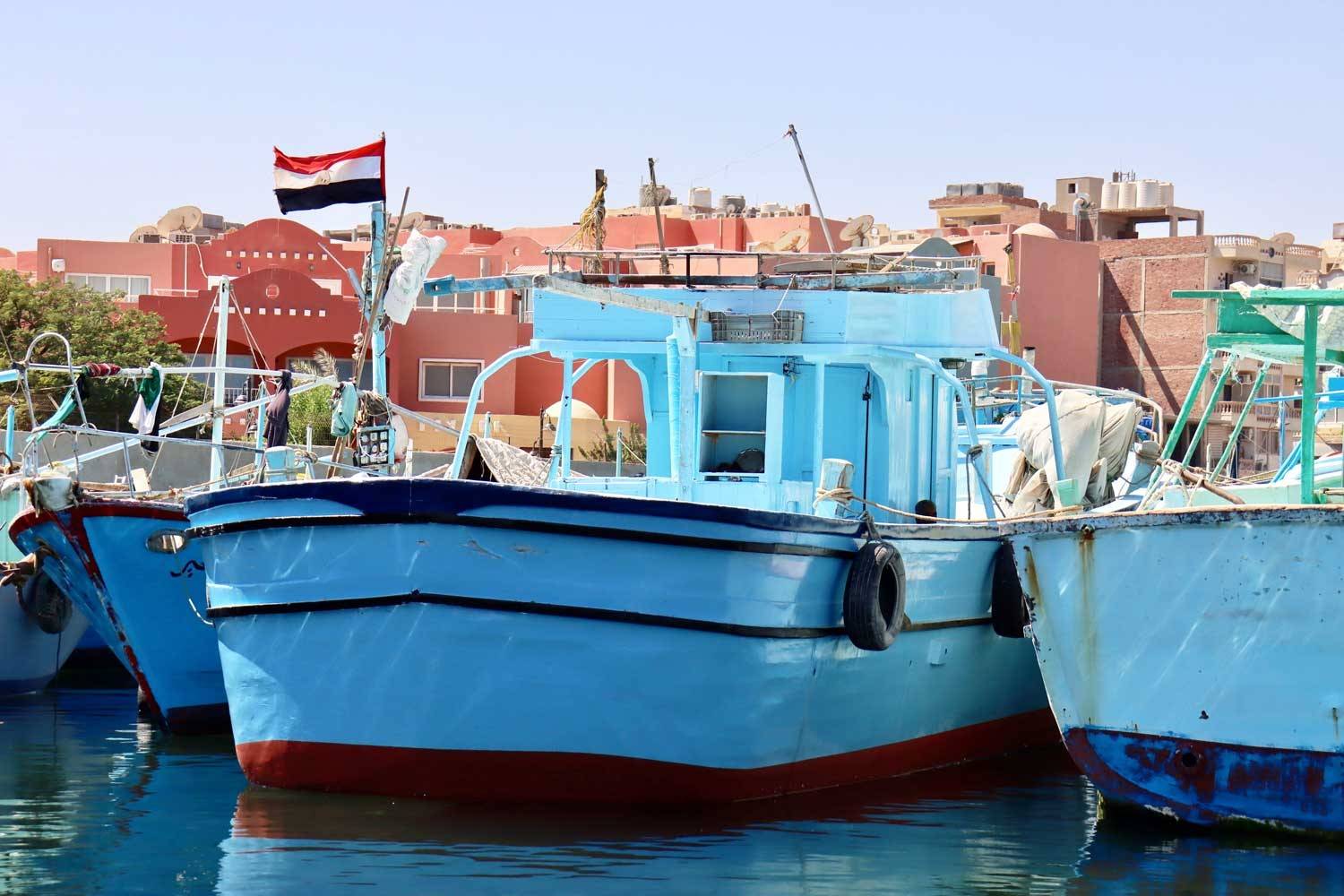 مصر تتصدى للصيد المخالف في المحميات الطبيعية