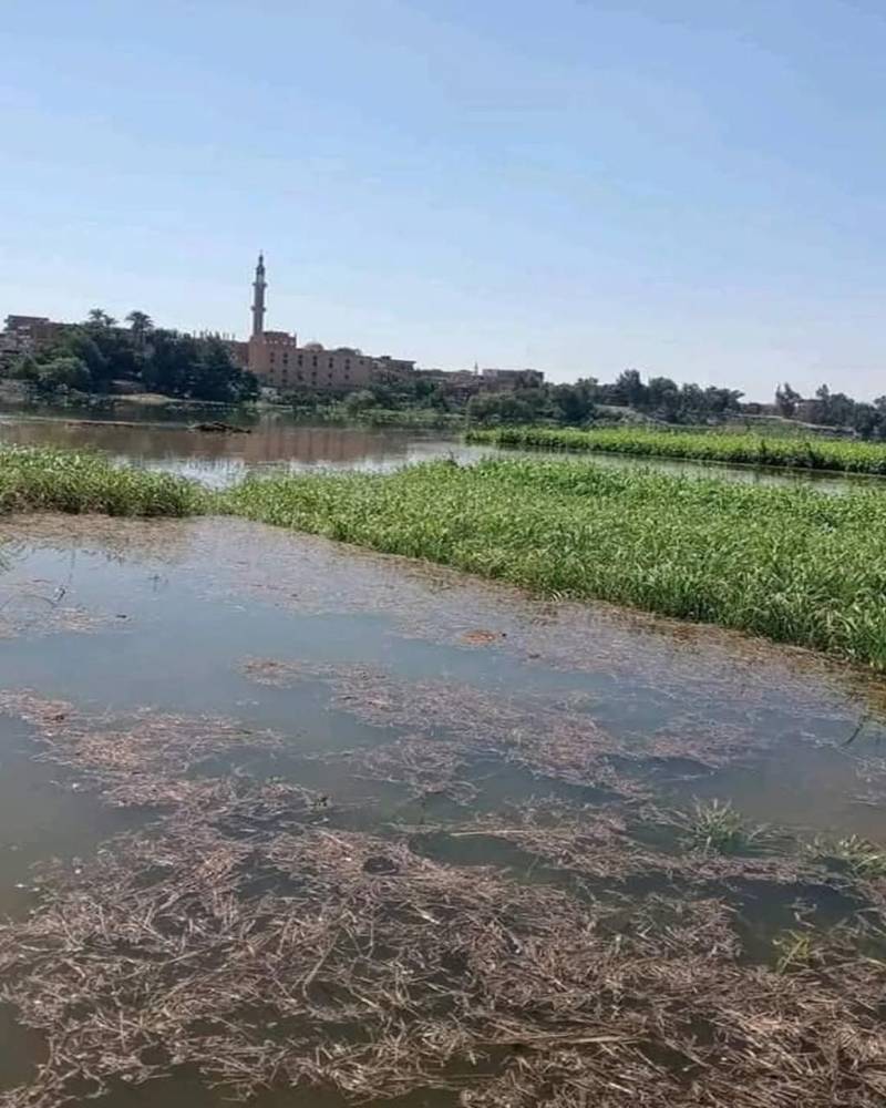 بعد تحذيرات رئيس الوزراء.. المياه تجتاح قرى طرح النيل بالمنوفية