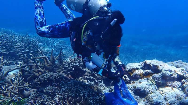 «الرشح البلاستيكي» يُعطل تكاثر المرجان