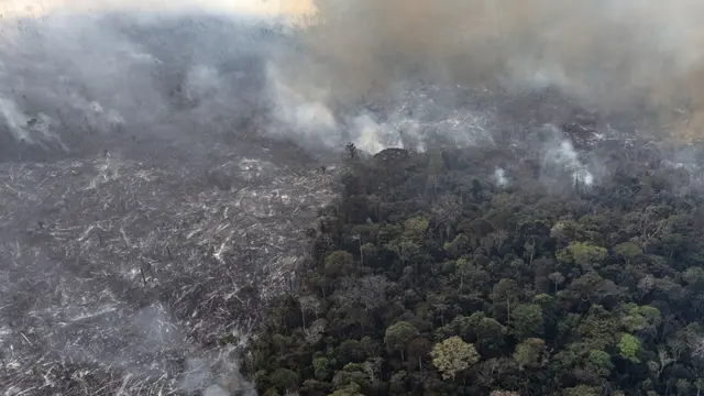 حرائق الأمازون 2024 الأكثر تدميراً منذ عقدين