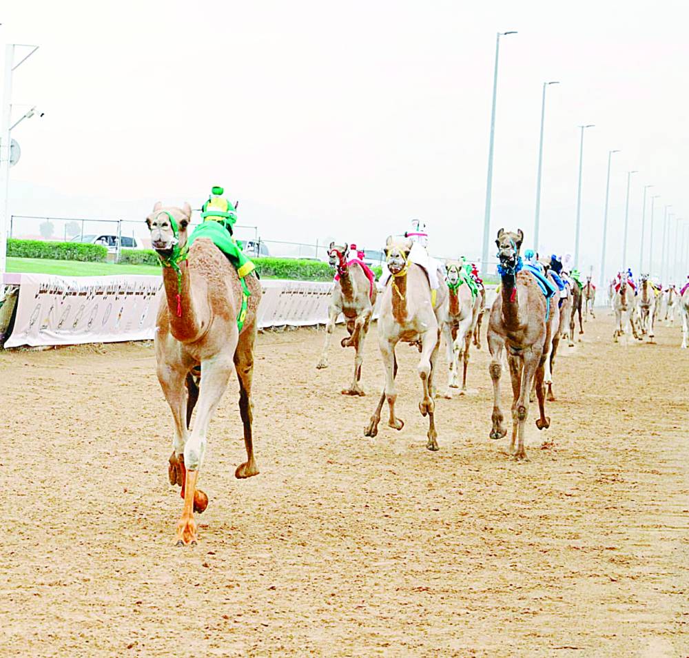 من منافسات سابقة في المهرجان