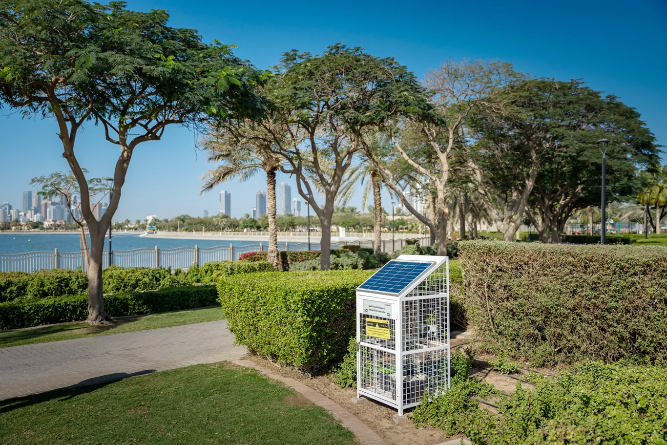 احدي المصائد الذكية