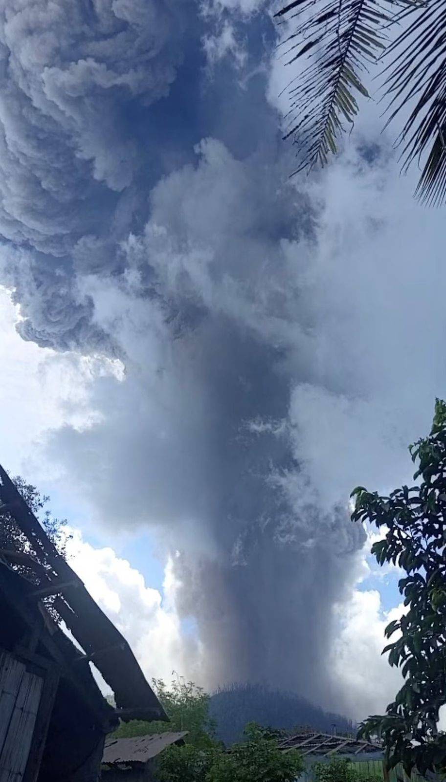 مشاهد مرعبة.. ثوران بركان في جزيرة فلوريس الإندونيسية