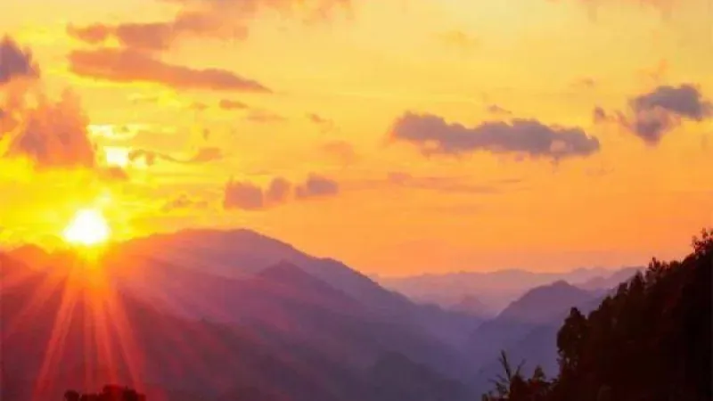 الفنون.. روح المدن