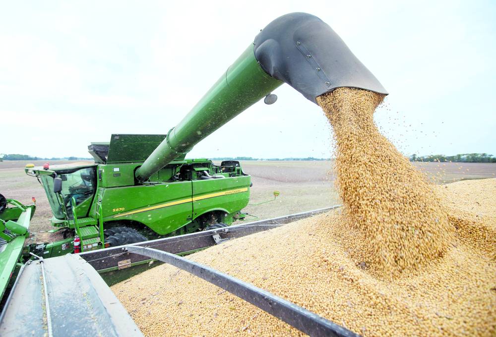 الصين تشتري 4 شحنات من فول الصويا الأمريكي بعد المحادثات التجارية