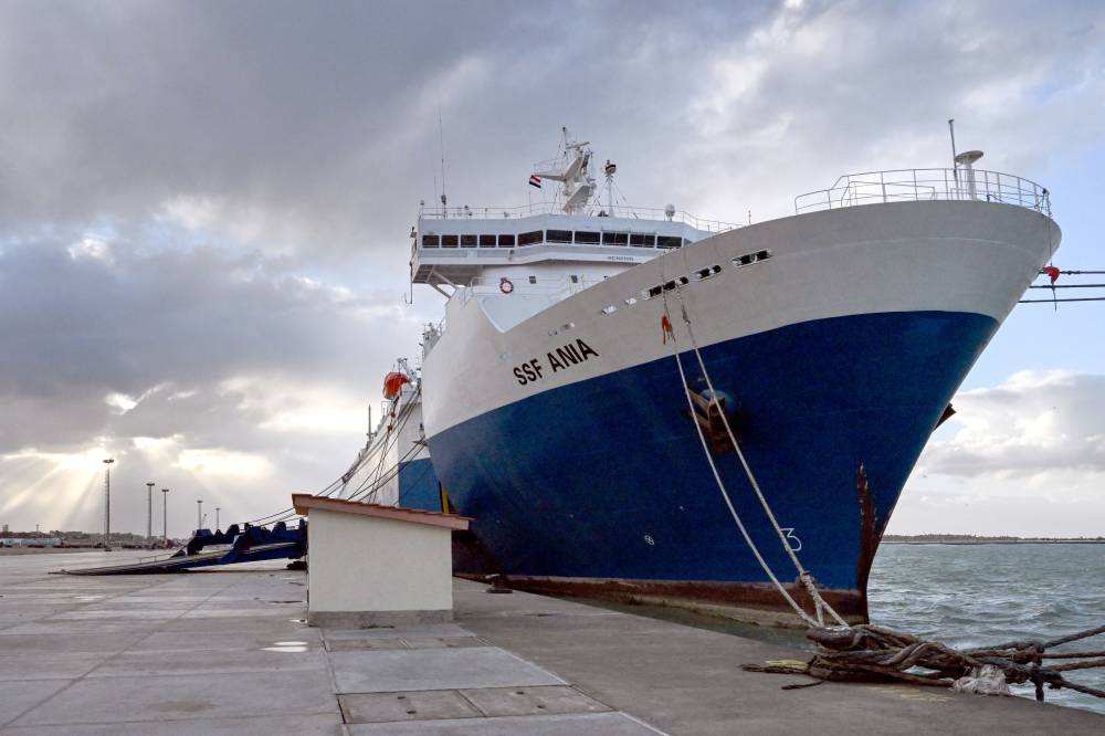 المستشفى الإماراتي العائم في العريش يجري جراحة دقيقة لشاب فلسطيني