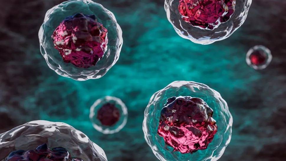 قتل «الخلايا الزومبي» في الأوعية الدموية مفتاح علاج السكري وأمراض الشيخوخة