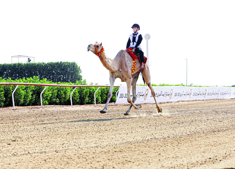 علي الخاطري يعانق ناموس السباق التراثي
