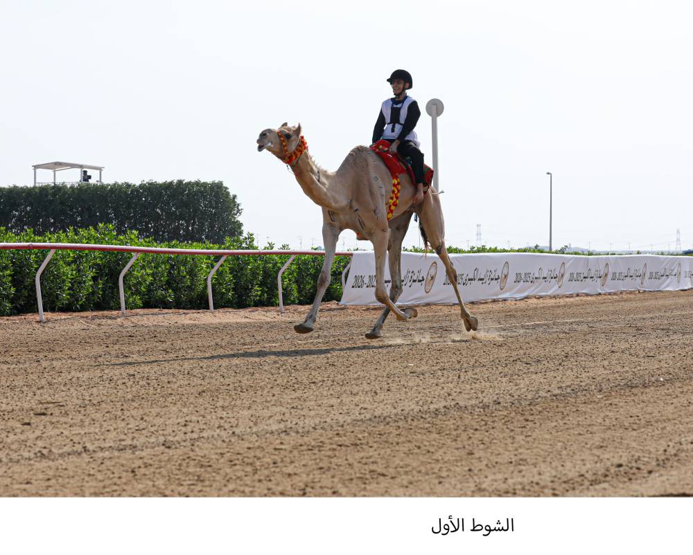 مشاركة واسعة في السباق التراثي لمهرجان زايد