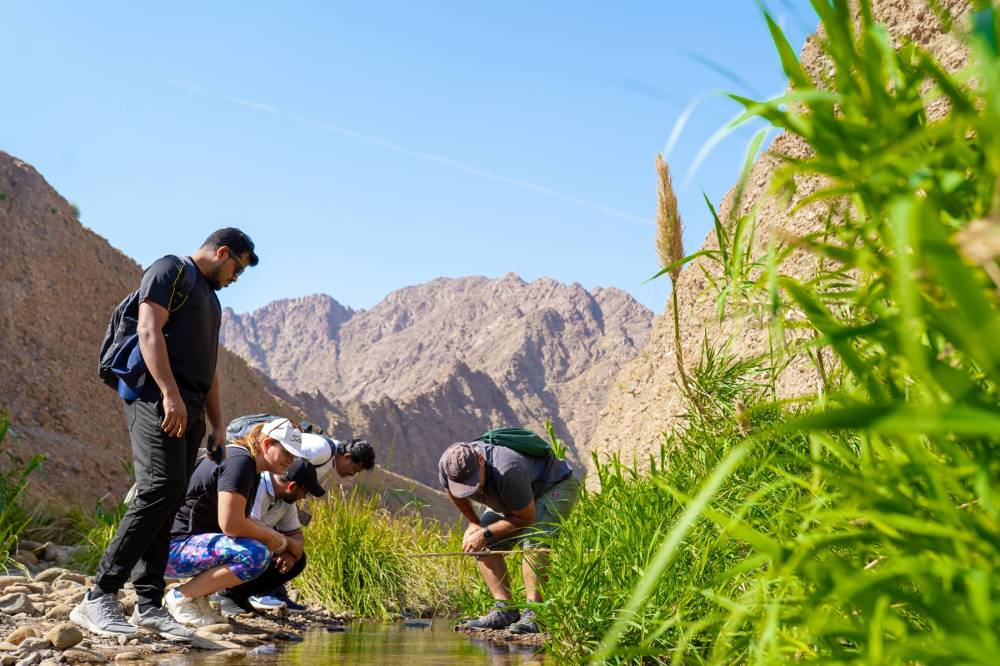 «الإمارات للطبيعة» تطلق أول مخيم شتوي 9 ديسمبر