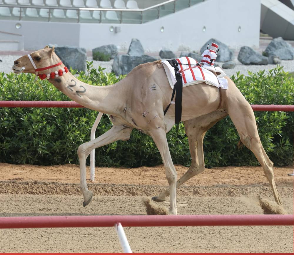 من منافسات السباق