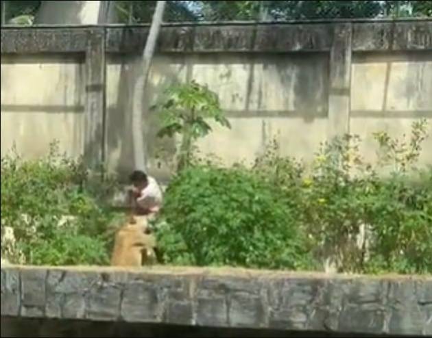 اللبوة وهي تمسك به